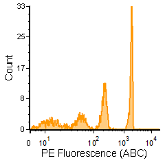 vTAG™ ANTI-HUMAN CD56 ANTIBODY<br>NO WASH, QUANTITATIVE CD56 MEASUREMENT BY vFC™</br>